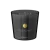 Precious Amber
